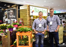 Collin Szmyryala and Stuart van Staaalduinen of Bayvief flowers. These Canadian potted indoor blooming plant growers. They also supply their plants with added value products. 