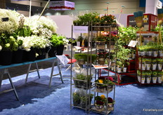 At the booth of Ball also the 2020 novelties of PanAmerican Seed were presented.