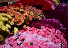 Carnations of Falcon Farms. 