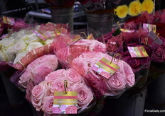 Garden roses of Alexandra Farms. 