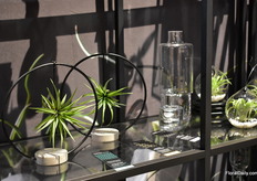 One of the collections of Live Trends; the Minimalist.