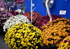 The completely  series called Bransmart of Brandkamp.