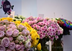 The new spray roses line of Alma Roses. 