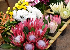 South African flowers at the booth of African Flower Group.