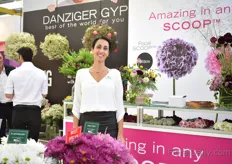 Anat Moshes of Danziger presenting the new Focal Scoop. It is a new Scoop variety that has a large bud size (8-10cm). More on this variety later in FloralDaily. Another highlight at their booth was the gypsophila (on the left). They divided their gyps varieties in three categories; big, small, color. As they see that these are the groups that are most demanded.  