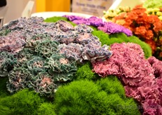 Don Eusebio also tint carnations. "In this way, we can create new 'varieties' for special occasions." On the picture the Vintage Family.