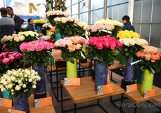 Part of the rose assortment of Dümmen Orange.