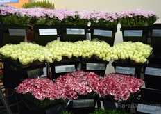 Display of Pagter Innovations. 