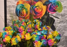 The colorful flowers of Naranjo Group. 