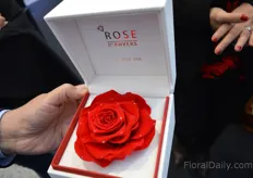 Rose with real diamonds - all the way from Antwerp