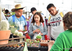 Visitors interested in the succulents of Sossuvlei.