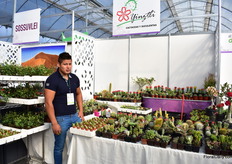 Eduardo Tonachua Arenas Fimenez of Yinztli grow succulents in Mexico City and grows varieties from all over the world.