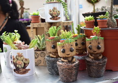 Funny usage of succulents at Vivero de Cactus Neutla.