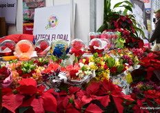 Flowers of Azteca Floral.