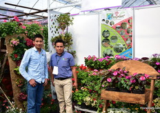 Father and son of Arciplant.