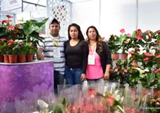 The team of Vivero los Pinos, Mexican Anthurium growers.