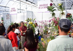 Busy at the booth of Orquideas de la Sierra, a Mexican orchid grower.