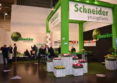 Schneider Youngplants presented nicely this year.