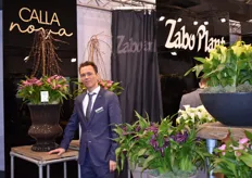 Emiel van Tongerlo representing Zabo Plant at the IPM and presenting the new Calla Nova series and the Pot Lilies and Roselilies.