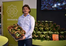 Jan Pieter of Amarantis proudly presenting a tray of kalanchoe
