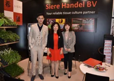 Pey Yin, Xi Chen and Yi Li from Siere Handel represented their tissue culture at the expo.