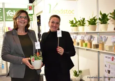 Petra Groenewegen and Marjolein Beuzel of Voodstoc. Voodstoc are biodegradable stabbers who also contain fertilizers. Besides, they also present the Growfun pots. They were present at the IPM Essen for the first time.