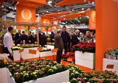 The large booth of Dümmen Orange.