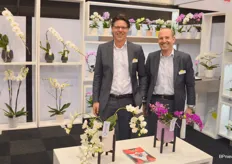 Marco Hendriks and Matthieu van Koppen of Opti-flor, which distinguishes itself in orchids with stylish creations.