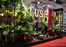 Also in Chirstmas world, some exhibitors incorporate plants in their designs.