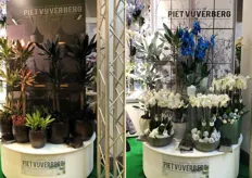 The display of Piet Vijverberg at the booth of Royal FloraHolland booth. 