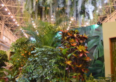 Ukraflora is one of the major importing companies of flowers and greens tot he Ukrainian market.