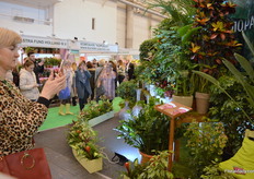 The presentation of Ukraflora was photographed continually