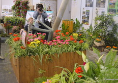 One of the corners of the fair was especially assigned to the promotion of plants.