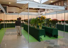The varieties on display that competed in the Best Grower Quality Competition.