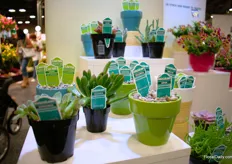 The succulent and cactus tags of MasterTag.