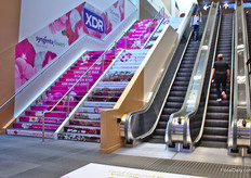 The nicely decorated stairs.