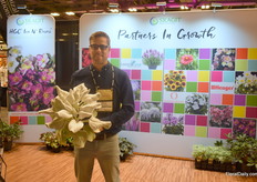 Marc Radsma with Skagit Horticulture holding the Senecio Angel Wings, a senecio with velvety leaves with scalloped edges. It is hardy to USDA Zone 8 and will reach a height of 12 inch and spread of 10 inch. 