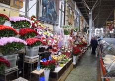 Another view of the market.