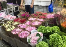 More peonies out of the Netherlands. 