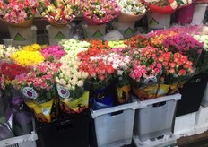 Roses out of Kenya; Sian Roses and River Roses. 