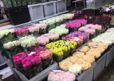 Roses out of Russia, among others; Dalina Roses 