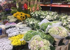Chrysanthemums from Dutch growers Zentoo and Richard van Schie.