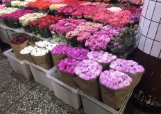 Peonies out of the Netherlands. 