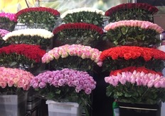 Roses out of Ecuador.