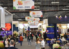 The exhibition floor.