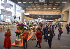 The entrance where the winners of the variety contest are presented.