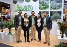 Part of the team of Silvestres. In Medillin, they grow many types of flowers, like chrysanthemum, gerbera, snapdragon, asters and more. They see a large interest in their large headed chysanthemums, like the Everest, a white chrysanthemum.