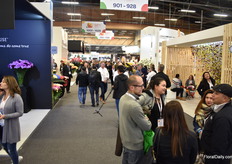 Exhibition floor.