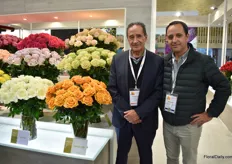 Gonzalo Luzuriaga of Brown Breeding and BellaRosa and Rose Connection together with Santiago Torres of Schreurs, who represents Brown Breeding. One of this breeder's new varieties is Cancun, on the left side of Gonzalo. Next year the rose will be officially launched and the interest so far seems to be positive.