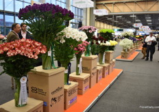 The award winners of the outstanding variety competition.